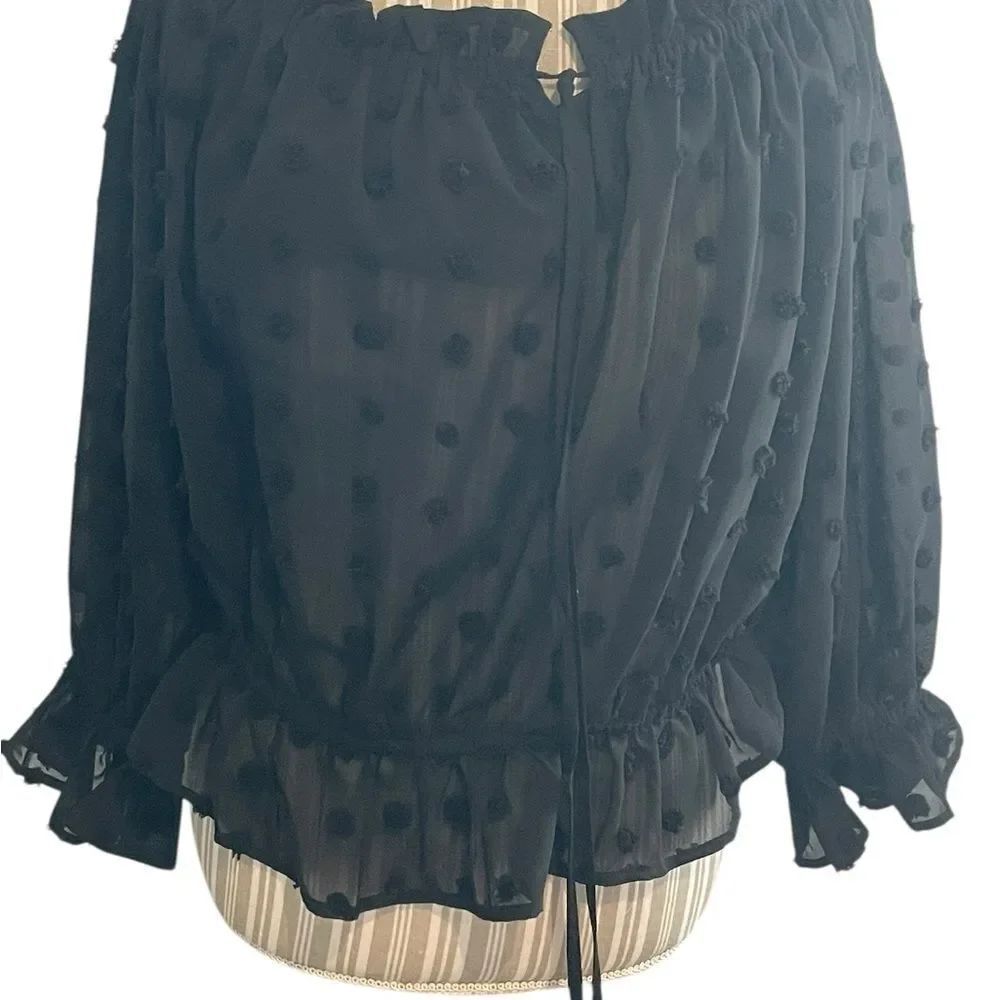 ee:some size larger Sheer Black Swiss Dot Peasant Blouse - Women excellent